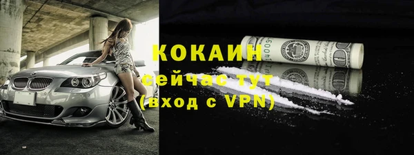 прущие грибы Богородицк