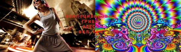 хмурый Богданович