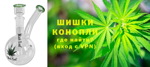прущие грибы Богородицк