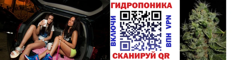 Бошки Шишки планчик Невельск